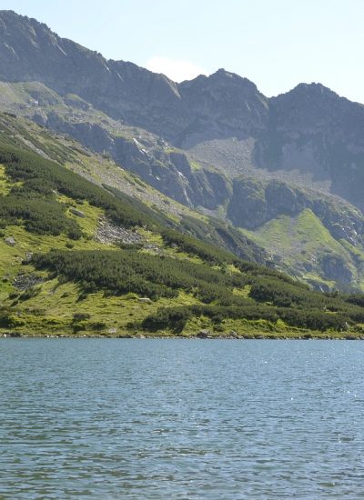 Zakopane z dziećmi – jakie noclegi zapewnią wygodę całej rodzinie
